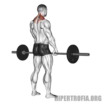 Encolhimento barra atrás